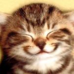 smilecat